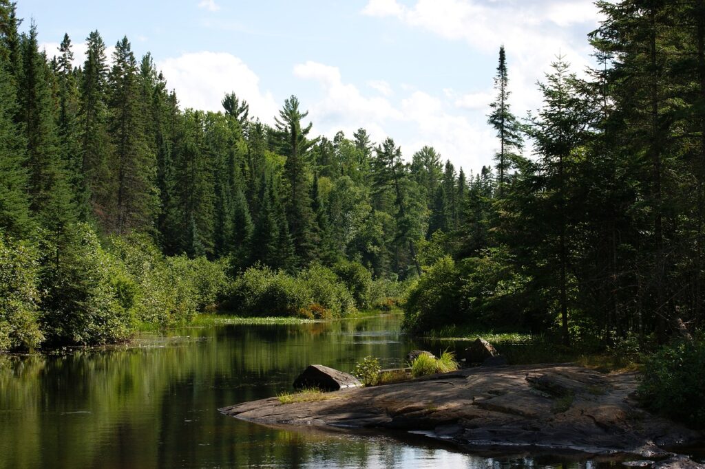 algonquin provincial park, madawaska river, ontario