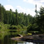 algonquin provincial park, madawaska river, ontario