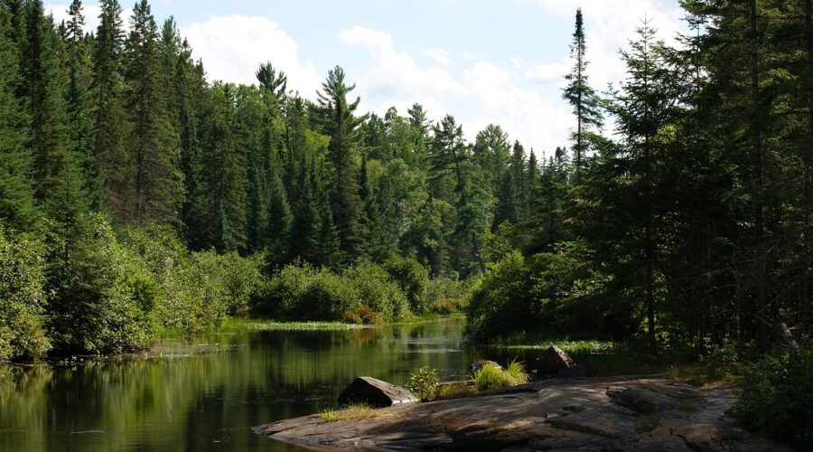 algonquin provincial park, madawaska river, ontario