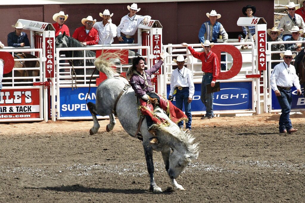 stampede, horses, outdoor