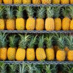 ripe pineapple fruits on shelf